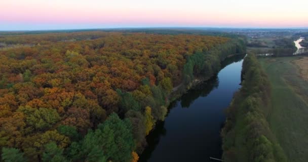 Vista aérea del río en la llanura verde del bosque . — Vídeos de Stock