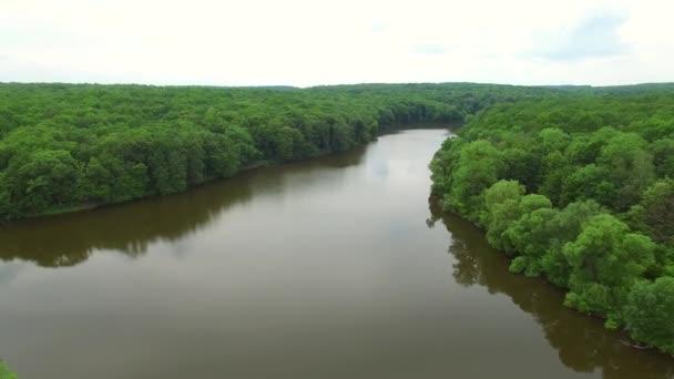 Aerial view the river on green forest plain.. — Stock Video