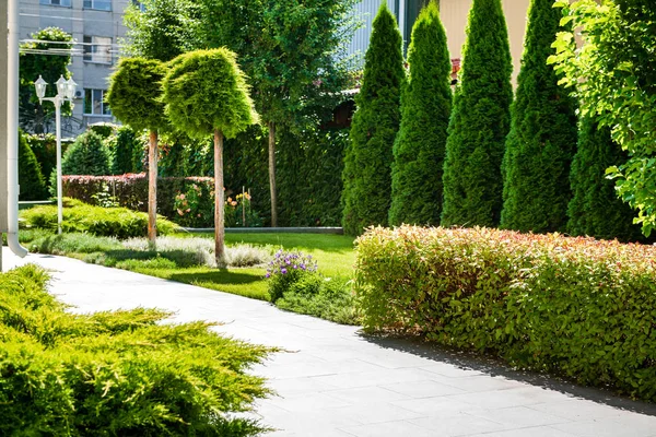 Hermoso paisaje con hermosas plantas — Foto de Stock