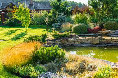 Güzel bitkilerle güzel bir peyzaj