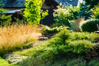 Güzel bitkilerle güzel bir peyzaj