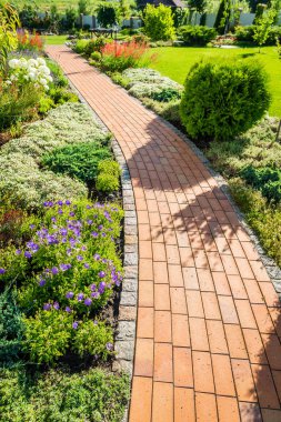 Güzel bitkilerle güzel bir peyzaj