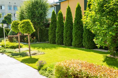 Güzel bitkilerle güzel bir peyzaj