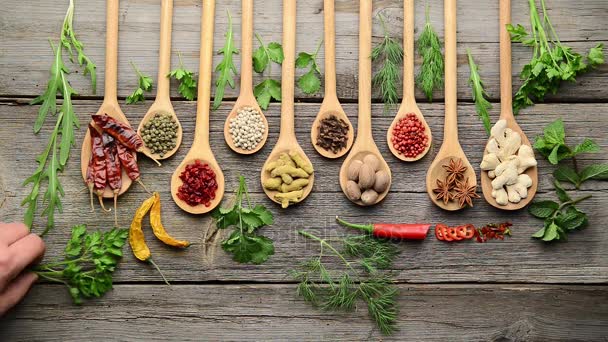 Épices et herbes fraîches sur une table en bois — Video