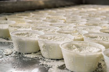 Ricotta peynir üretimi atölye