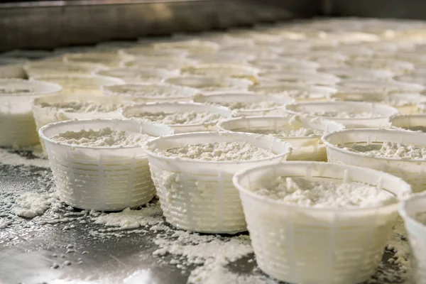 Producción de queso ricotta en el taller —  Fotos de Stock