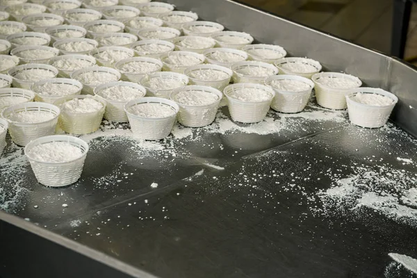 Ricotta peynir üretimi atölye