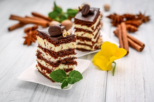 Slice Chocolate Honey Cake Custard White Background — Stock Photo, Image