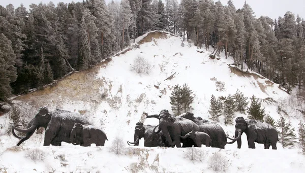 Khanty Mansiysk Rusia Febrero 2018 Esculturas Mamuts Lanudos Entrada Libre — Foto de Stock