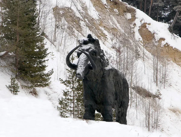 Chanty Mansijsk Russland Februar 2018 Skulptur Eines Wolligen Mammuts Archäopark — Stockfoto