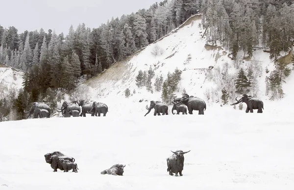 Khanty Mansiysk Rusia Febrero 2018 Esculturas Mamuts Lanudos Entrada Libre — Foto de Stock