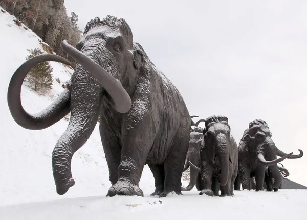 Khanty Mansiysk Rússia Fevereiro 2018 Esculturas Mamutes Entrada Gratuita Archeopark — Fotografia de Stock