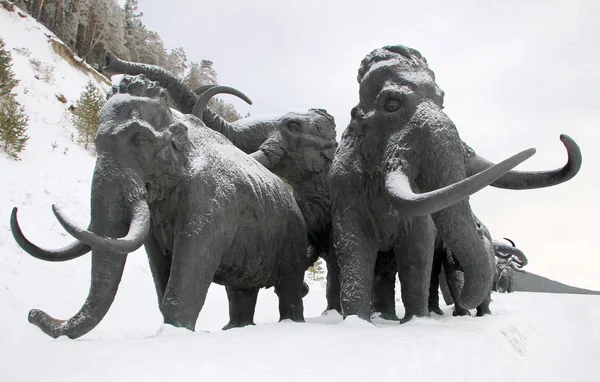 Khanty Mansiysk Rusia Febrero 2018 Esculturas Mamuts Lanudos Entrada Libre — Foto de Stock