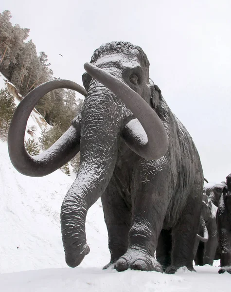 Chanty Mansijsk Russland Februar 2018 Skulpturen Von Wollmammuts Archäopark Bei — Stockfoto