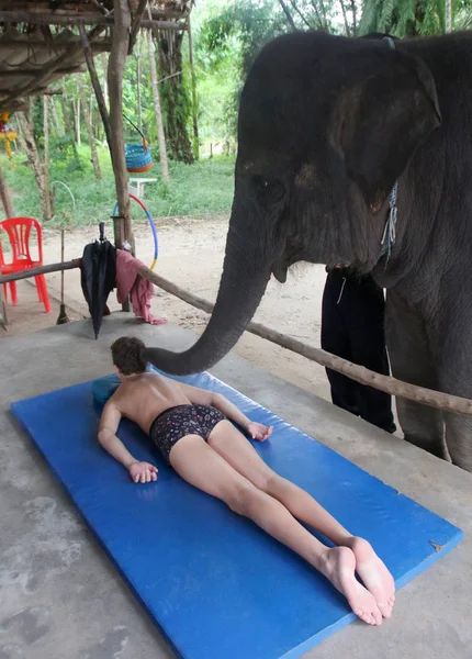 Massage Éléphant Touriste Faire Masser Éléphant Phuket Thaïlande — Photo