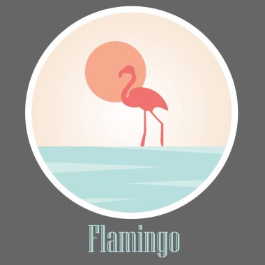 flamingo vektör arka plan