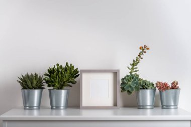 Sulu içerikli İskandinav minimalist iç mekanında fotoğraf çerçevesinden yapılmış.