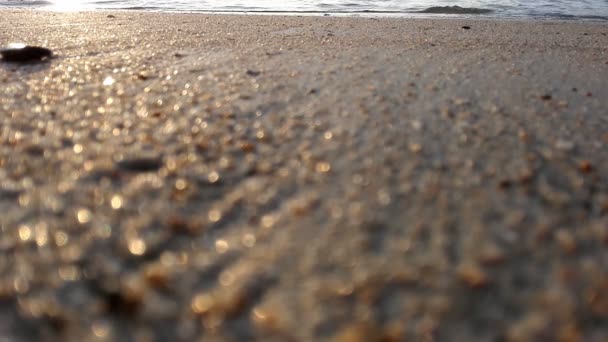 Ocean Fala na plaży Sandy — Wideo stockowe