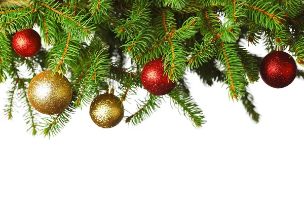 圣诞节树的分支 — 图库照片