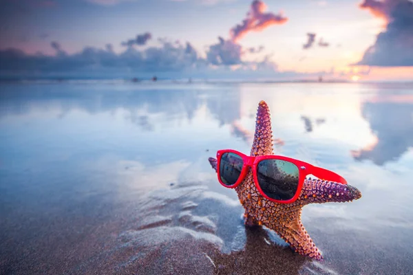 Морська зірка у сонцезахисні окуляри — стокове фото