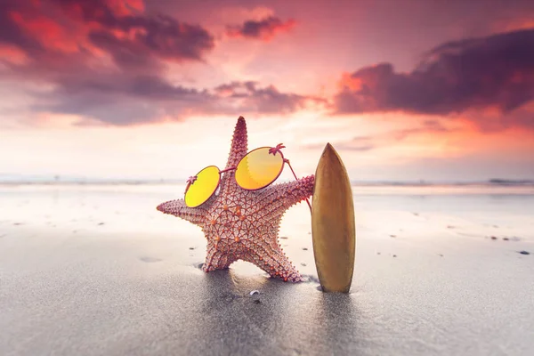 Hvězdice surfař na pláži — Stock fotografie