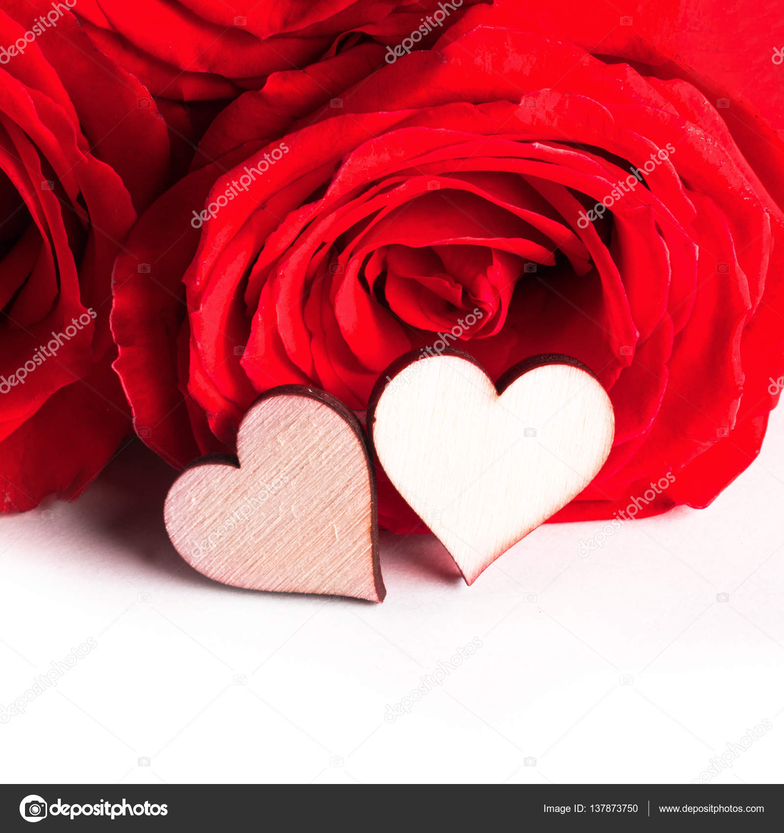 Rosen und Herzen auf Weiß — Stockfoto © yellow2j 137873750
