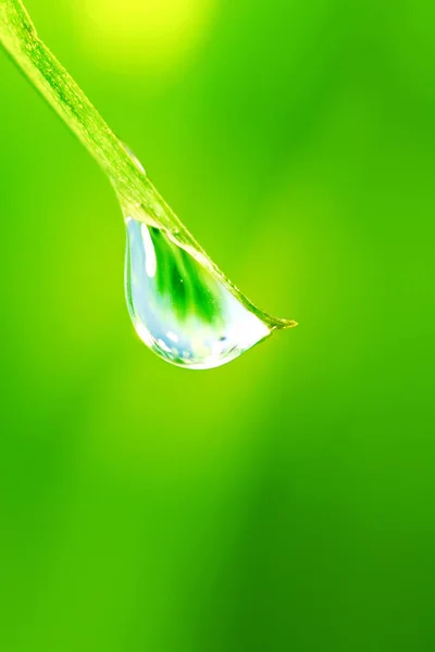 Gota de agua grande — Foto de Stock