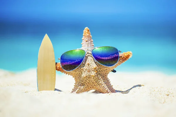 Tengeri csillag szörfös Beach — Stock Fotó