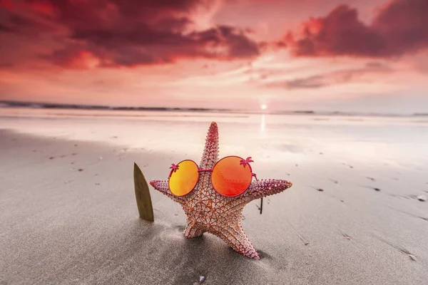 Surfista de Starfish na praia — Fotografia de Stock