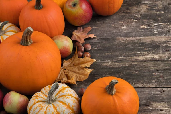 Colheita de outono em mesa de madeira — Fotografia de Stock