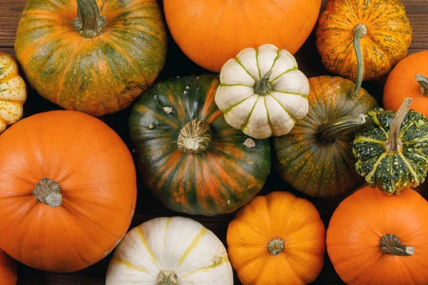 Birçok Pumpkins arka plan — Stok fotoğraf