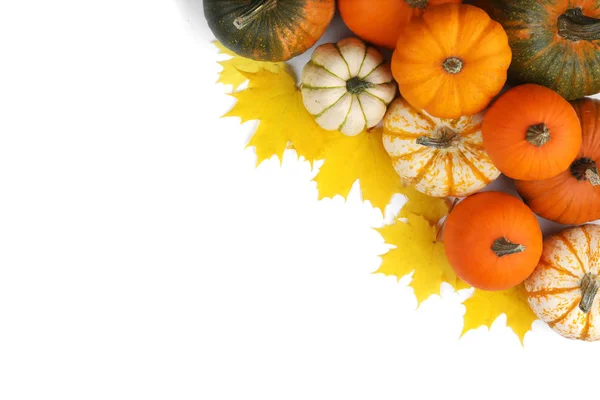 Muitas abóboras cor de laranja — Fotografia de Stock