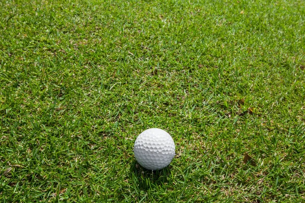 Golfball auf grünem Rasen — Stockfoto