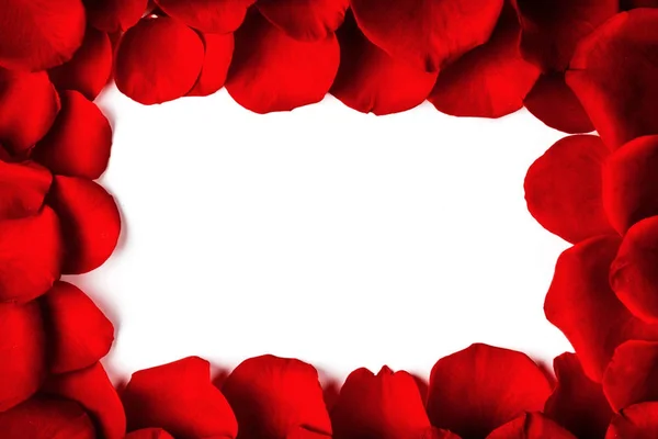 Frame of rose petals — Stock Photo, Image