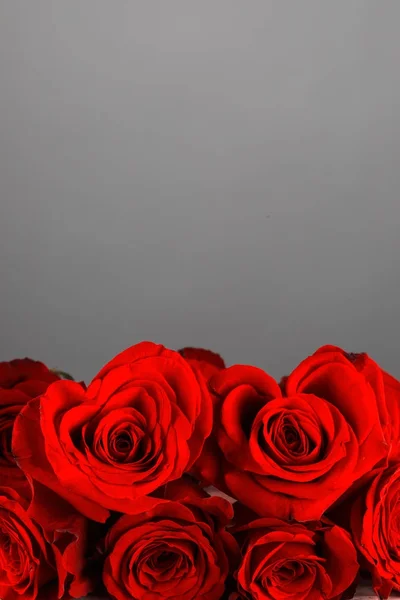 Roses en forme de coeur — Photo