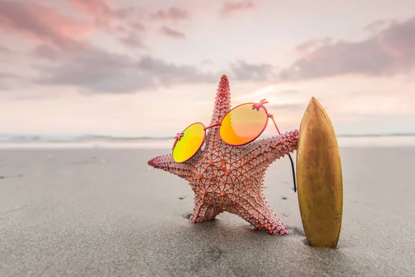 Starfish surfer on beach — Stock Photo, Image