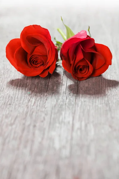 Ve tvaru srdce růže — Stock fotografie