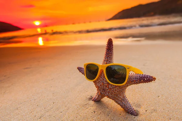 Starfish, napszemüveg, a tengerparttól — Stock Fotó