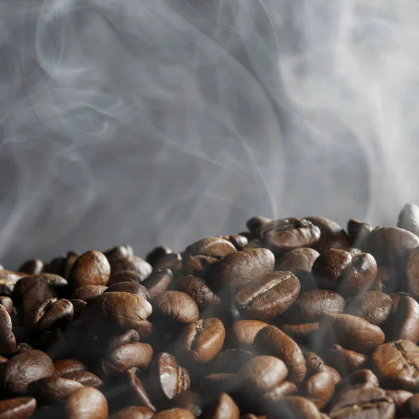 Grains de café torréfiés chauds — Photo