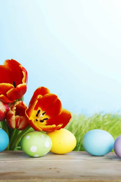 Easter eggs with tulips — Stock Photo, Image