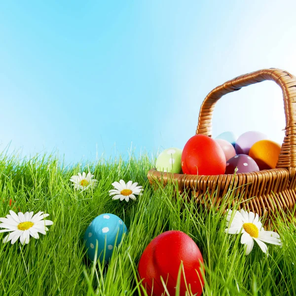 Easter basket op weide — Stockfoto