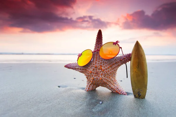 Surfista de Starfish na praia — Fotografia de Stock