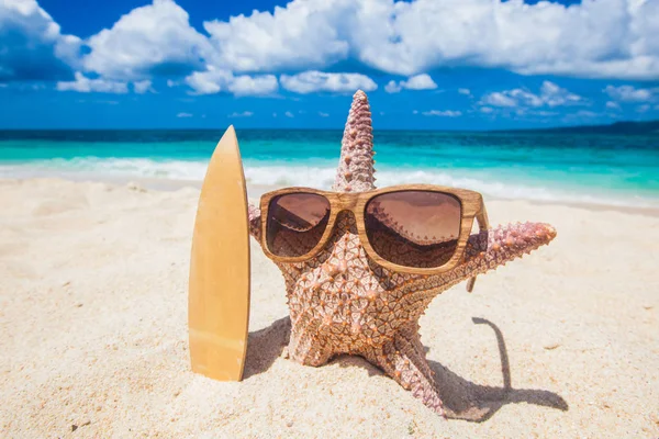Зоряний серфер на тропічному пляжі — стокове фото