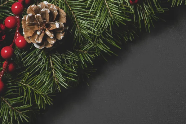 Pine branches decor on black paper — Stock Photo, Image