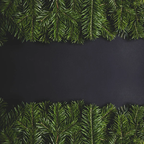 Ramos de pinheiro em papel preto — Fotografia de Stock