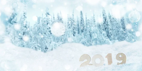 Nouvel An 2019 dans la neige — Photo