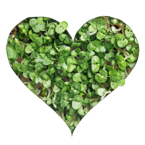 Sprout green plants a heart shape — Stock Photo, Image