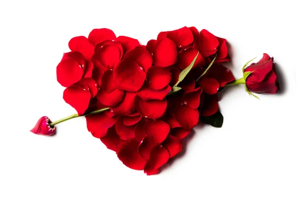 Rose petals heart with arrow — Stock Photo, Image