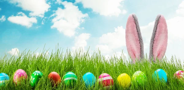 Easter Bunny Easter Eggs Green Grass Meadow — Stock Photo, Image