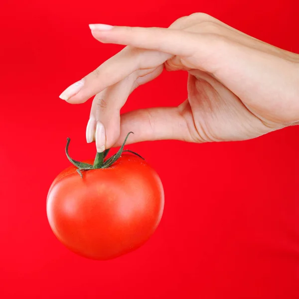 Tomate Der Hand Einer Frau Großaufnahme Auf Rotem Hintergrund — Stockfoto